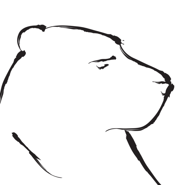 Inside A Bear